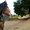 Photo of Rustic Canyon Ranch, L.