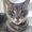 Photo of Yulie G.