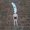 Photo of Stephanie T.