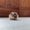 Photo of Brian S.