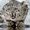 Photo of Qype User (Ounc…)