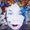 Photo of Marlene L.