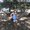 Photo of Sneha P.