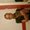 Photo of Kellie T.