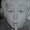 Photo of Finn S.
