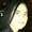 Photo of Cristina B.