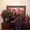 Photo of Nicole Gilbert M.