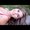 Photo of Angie L.