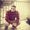 Photo of Nithin B.