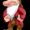 Photo of Grumpy S.