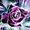 Photo of Qype User (jessba…)