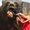Photo of Priya D.