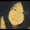 Photo of Sicong Z.