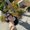 Photo of Laurice G.
