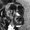 Photo of J H.