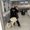 Photo of Jade S.
