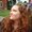 Photo of Megan C.