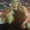 Photo of Deena S.