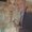 Photo of Holly D.
