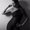 Photo of Roberta T.