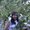 Photo of Wataka T.