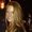 Photo of Debra R.