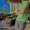 Photo of Subodh N.