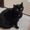 Photo of Mimi S.