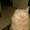 Photo of Zoe H.