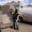 Photo of Brenan M.