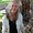 Photo of Lisa R.
