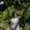 Photo of Renee L.