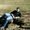 Photo of Sean G.