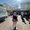 Photo of Sarah Beth R.