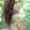 Photo of Samanta M.