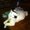 Photo of Kat K.