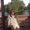 Photo of Shari F.