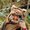 Photo of Dayle S.