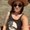 Photo of Melissa D.