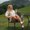 Photo of Evelina K.