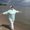 Photo of Judit C.
