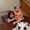Photo of Kendy R.