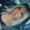 Photo of Michaela S.