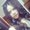 Photo of Liz B.
