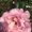 Photo of Jordan M.