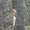 Photo of Kimberlee A.