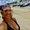 Photo of Suzan P.
