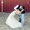 Photo of Chaya L.