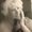 Photo of Kaylene R.