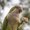 Photo of ThefancyParrot